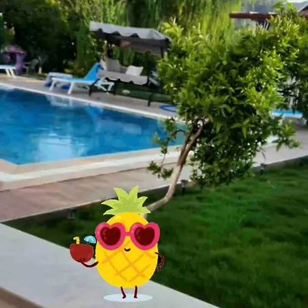 Dalyan Baysal Konaklari