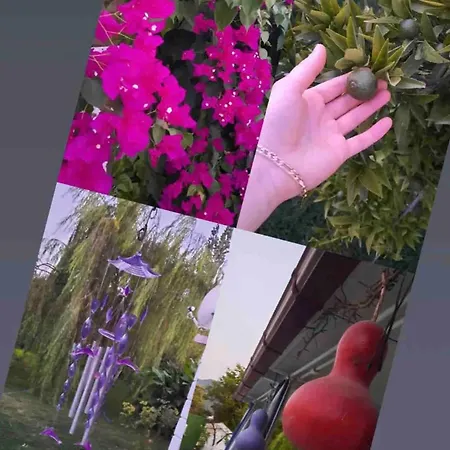 Dalyan Baysal Konaklari Vilă Okcular