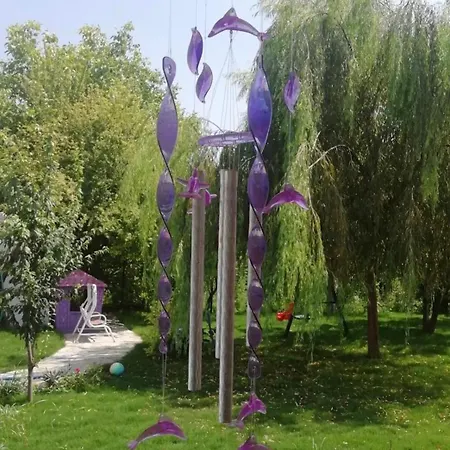 Dalyan Baysal Konaklari Okcular